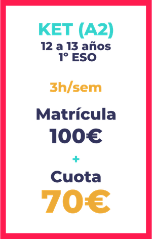 Cursos anuales